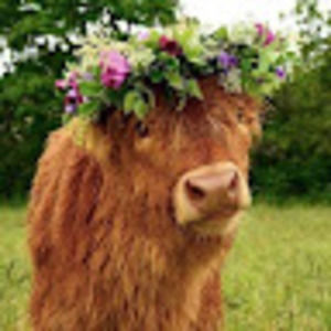 Meet your Posher, Ted